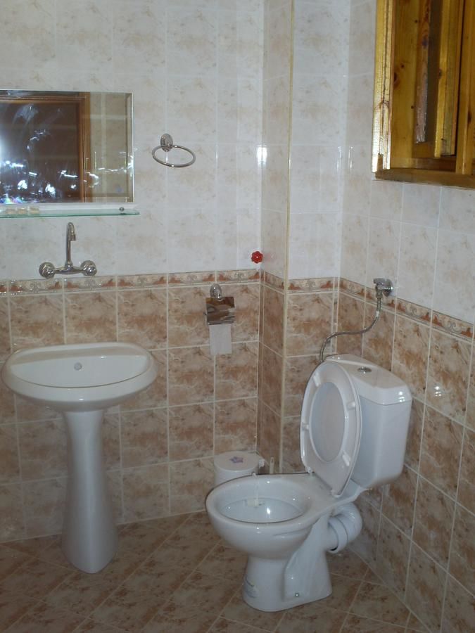 Отель Family Hotel Byalata Kashta Баните