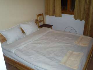 Отель Family Hotel Byalata Kashta Баните Двухместный номер с 1 кроватью или 2 отдельными кроватями-3