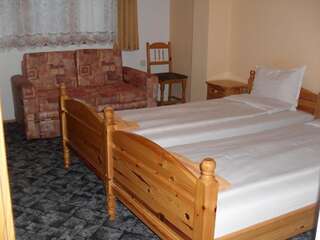 Отель Family Hotel Byalata Kashta Баните Двухместный номер с 1 кроватью или 2 отдельными кроватями-8