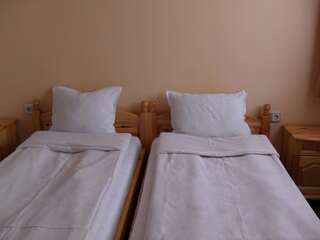 Отель Family Hotel Byalata Kashta Баните Двухместный номер с 1 кроватью или 2 отдельными кроватями-9