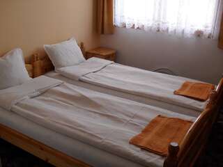Отель Family Hotel Byalata Kashta Баните Двухместный номер с 1 кроватью или 2 отдельными кроватями-11