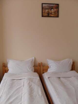 Отель Family Hotel Byalata Kashta Баните Двухместный номер с 1 кроватью или 2 отдельными кроватями-22